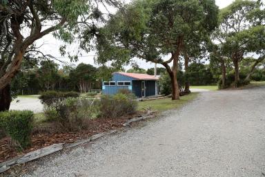 House For Sale - TAS - Arthur River - 7330 - Ideal Lifestyle Change! Arthur River Caravan &Cabin Park  (Image 2)