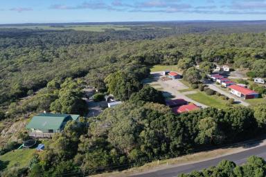 House For Sale - TAS - Arthur River - 7330 - Ideal Lifestyle Change! Arthur River Caravan &Cabin Park  (Image 2)