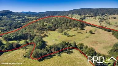 Lifestyle Sold - NSW - Horseshoe Creek - 2474 - Country Living with Views & Creek  (Image 2)