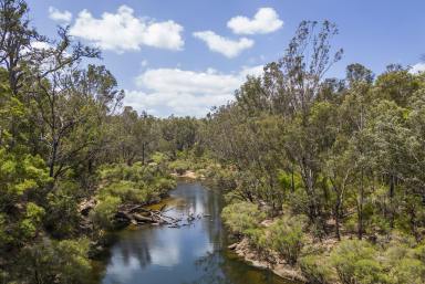 House Leased - WA - Nannup - 6275 - PEACEFUL 5 ACRES ON THE BLACKWOOD RIVER  (Image 2)