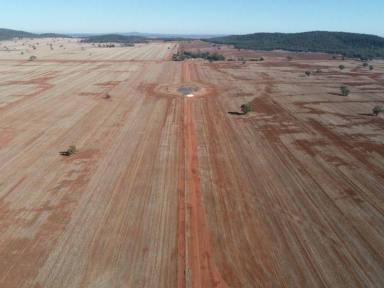 Mixed Farming Sold - NSW - Condobolin - 2877 - Diversity of Enterprise & Irrigation Development Upside  (Image 2)