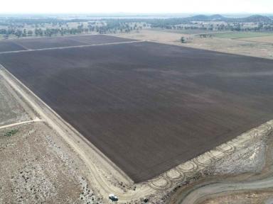 Mixed Farming Sold - NSW - Condobolin - 2877 - Diversity of Enterprise & Irrigation Development Upside  (Image 2)