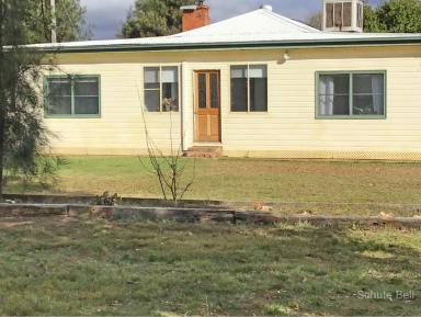 Acreage/Semi-rural Leased - NSW - Narromine - 2821 - Farmhouse with 25 Acres  (Image 2)
