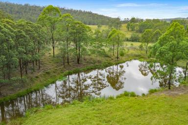 Other (Rural) For Sale - NSW - Weismantels - 2415 - 2 FOR 1!  (Image 2)