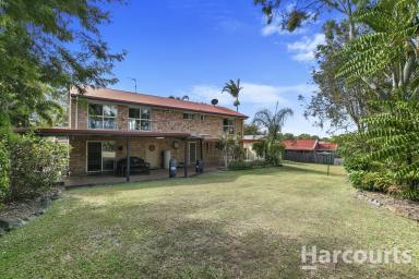 House Sold - QLD - Urangan - 4655 - His, Hers, Ours and Theirs - Everyone Has A Dance Space  (Image 2)