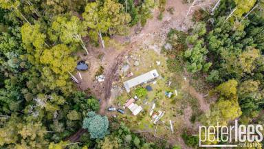 Other (Rural) For Sale - TAS - Lilydale - 7268 - Your Off Grid Lifestyle Awaits!  (Image 2)