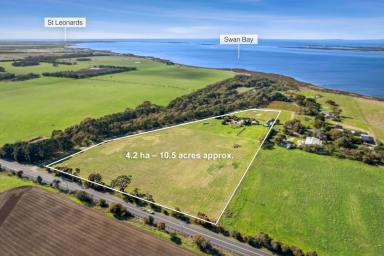 Lifestyle Sold - VIC - Swan Bay - 3225 - Rural Living with Swan Bay Views  (Image 2)
