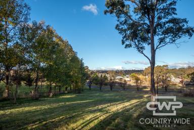 Residential Block For Sale - NSW - Glen Innes - 2370 - Build Your Dream Home!  (Image 2)