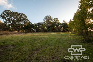 Residential Block For Sale - NSW - Glen Innes - 2370 - Build Your Dream Home!  (Image 2)
