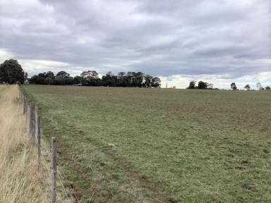 Other (Rural) Sold - VIC - Kooroocheang - 3364 - Mixed Farming; Approx. 170 Ha (420 acres); 3 Titles; Compact Residence; Domestic Bore  (Image 2)