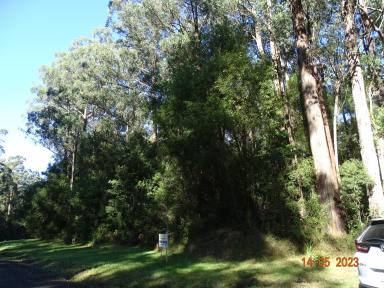 Residential Block For Sale - VIC - Lavers Hill - 3238 - Retains the natural environment  (Image 2)