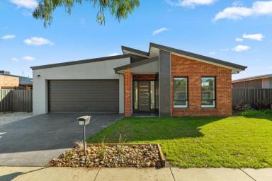 House Leased - VIC - Marong - 3515 - STUNNING 3 BEDROOM HOME WITH LARGE SHEDDING  (Image 2)