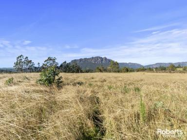 Residential Block Sold - TAS - Roland - 7306 - Amazing views while farming  (Image 2)