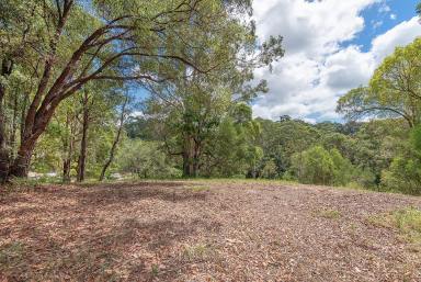 Residential Block For Sale - QLD - Tinbeerwah - 4563 - A Rare Gem Awaits!  (Image 2)