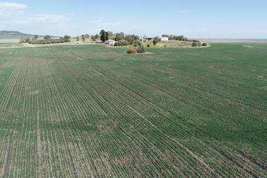 Mixed Farming Sold - QLD - Evanslea - 4356 - Valhalla
Picturesque rural acreage set in an enviable private location, 30 minutes from Toowoomba  (Image 2)