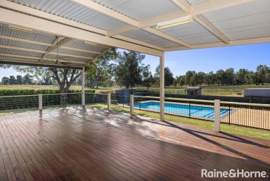 House Sold - NSW - Collingullie - 2650 - Country Retreat  (Image 2)