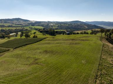 Lifestyle For Sale - NSW - Batlow - 2730 - Exceptional Snowy Valleys District Production & Lifestyle  (Image 2)
