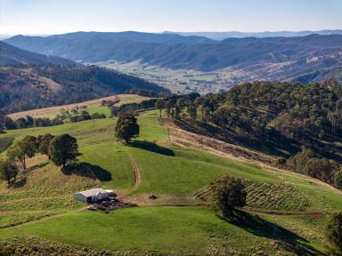 Lifestyle For Sale - NSW - Batlow - 2730 - Exceptional Snowy Valleys District Production & Lifestyle  (Image 2)