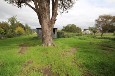 House For Lease - NSW - Tenterfield - 2372 - FOR RENT  (Image 2)