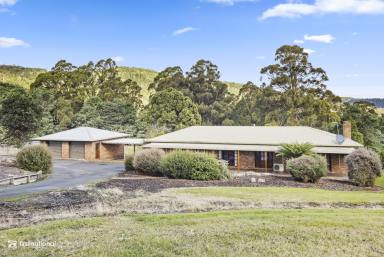 House For Lease - TAS - Lower Longley - 7109 - Rural Family Home  (Image 2)