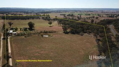 Livestock Sold - NSW - Inverell - 2360 - SOLD BY LJ HOOKER INVERELL  (Image 2)