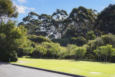 House Sold - WA - Margaret River - 6285 - CLASSIC CHARACTER CHARM  (Image 2)