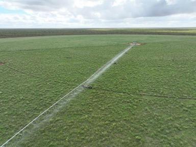 Horticulture For Sale - WA - Broome - 6725 - Large-scale Grazing with Further Irrigation Development Upside  (Image 2)