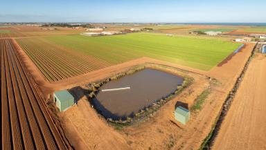 Commercial Farming For Sale - VIC - Werribee South - 3030 - Prime Agricultural Land, in the Food-bowl Capital of Australia  (Image 2)