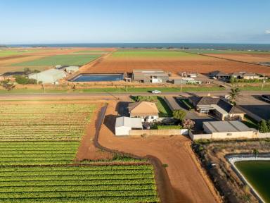 Commercial Farming For Sale - VIC - Werribee South - 3030 - Prime Agricultural Land, in the Food-bowl Capital of Australia  (Image 2)