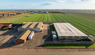 Commercial Farming For Sale - VIC - Werribee South - 3030 - Prime Agricultural Land, in the Food-bowl Capital of Australia  (Image 2)