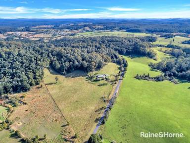 Mixed Farming Sold - NSW - Lowanna - 2450 - 52.34 HECTARES WITH RIVER FRONTAGE  (Image 2)