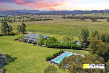 House Leased - NSW - Quirindi - 2343 - APPLICANT APPROVED - Style and Class in a Beautiful Rural Setting  (Image 2)