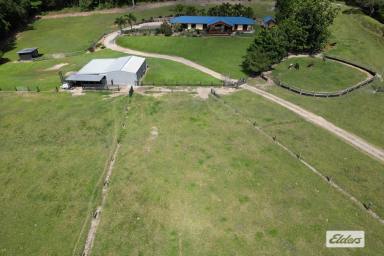House Sold - QLD - Merryburn - 4854 - Sensational property , 10+ Acres…Horse Heaven!!
Dual Accomodation  (Image 2)