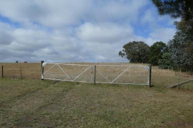 Lifestyle For Sale - VIC - Carngham - 3351 - Premium Lifestyle Acreage in a Sought-After Location  (Image 2)