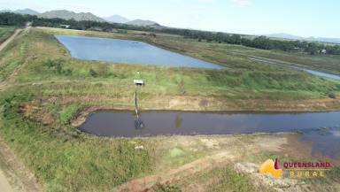 Cropping For Sale - QLD - Guthalungra - 4805 - Elliott River Farming  (Image 2)