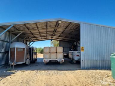 House For Sale - WA - Eneabba - 6518 - "A Rare Opportunity to Secure a 1 Bed, 1 Bath Home on 40 Acres in Eneabba, WA!"  (Image 2)