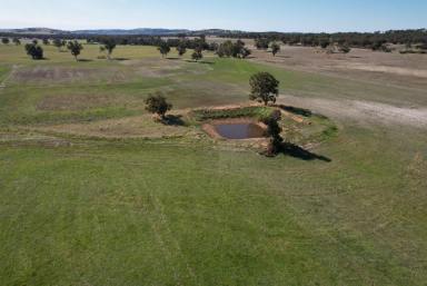 Mixed Farming Sold - WA - Dale - 6304 - Expansive Rural Property of 188 acres on 1834 York Williams Road  (Image 2)
