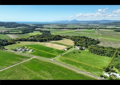 House For Sale - QLD - Bamboo - 4873 - Acres of Space, Options and Lifestyle Await.  (Image 2)