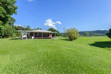 House For Sale - QLD - Bamboo - 4873 - Acres of Space, Options and Lifestyle Await.  (Image 2)