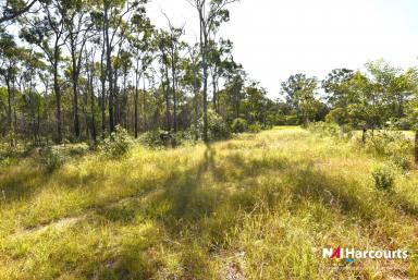 Residential Block For Sale - QLD - Howard - 4659 - 56 ACRES AVAILABLE FOR LAND DEVELOPMENT.  (Image 2)