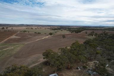 Mixed Farming For Sale - WA - Kauring - 6302 - Tranquil rural setting with spectacular views                                 38.27ha (95 acres)  (Image 2)