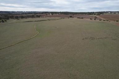 Mixed Farming For Sale - WA - Kauring - 6302 - Tranquil rural setting with spectacular views                                 38.27ha (95 acres)  (Image 2)