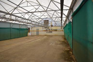 Horticulture Sold - QLD - Sharon - 4670 - LARGE SCALE TREE NURSERY AND FARMLAND FOR E.O.I.  (Image 2)