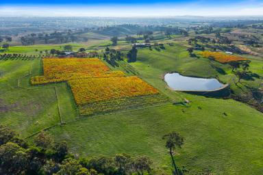 Lifestyle Sold - VIC - Redesdale - 3444 - 'OAKMORE', LUXURY GOURMET COUNTRY ESTATE JUST OVER AN HOUR* FROM MELBOURNE CBD  (Image 2)