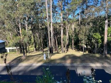 Residential Block For Sale - NSW - Catalina - 2536 - Great block, ready to build........  (Image 2)