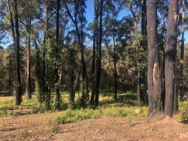 Residential Block For Sale - NSW - Catalina - 2536 - Great block, ready to build........  (Image 2)