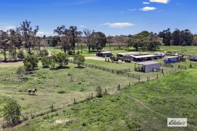 Other (Rural) For Sale - QLD - Howard - 4659 - BEAUTIFUL LIFESTYLE RIVERFRONT ACREAGE IN IDYLLIC SETTING!  (Image 2)