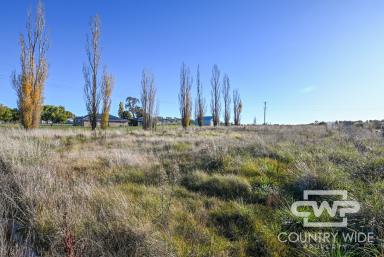 Residential Block Sold - NSW - Guyra - 2365 - The Perfect Canvas for Your Dream Home  (Image 2)