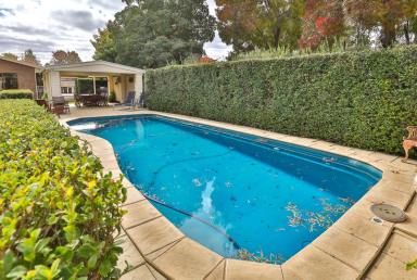 House Sold - VIC - Merbein - 3505 - PRIVATE OASIS WITH PLENTY OF SPACE  (Image 2)