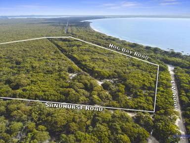 Lifestyle For Sale - SA - Dudley West - 5222 - Naturally stunning on KI. 4 bed, 2 bath. 30.7 Ha. Tree top views, 250 m from Browns Beach. Your Island escape awaits.  (Image 2)